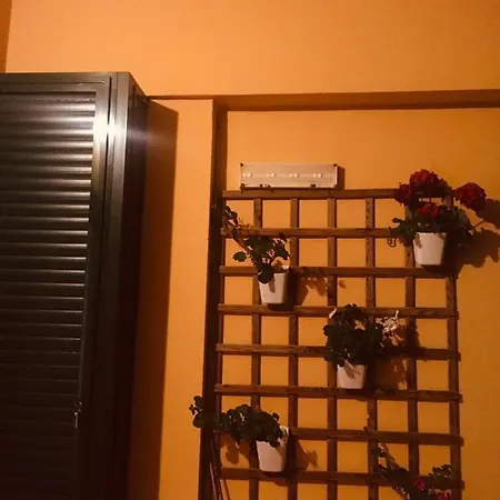 Apartment Roques La Laguna (Tenerife)